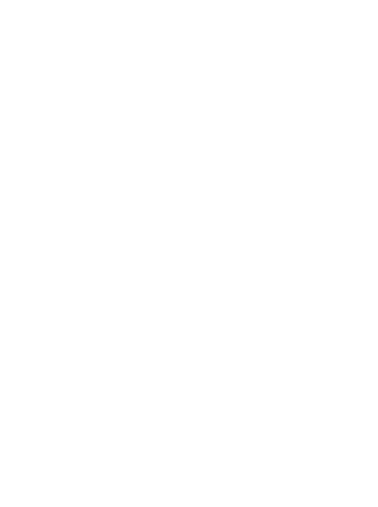 Decoration pattern 1